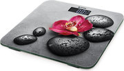 Vitek VT-8084 фото